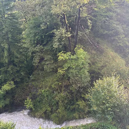 Nid Sur La Cascade Διαμέρισμα Eaux-Bonnes