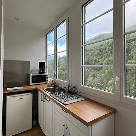 Nid Sur La Cascade Apartment Eaux-Bonnes
