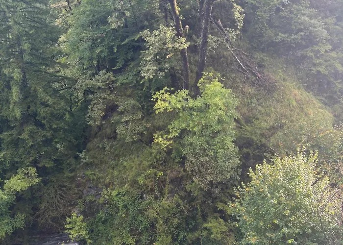 Nid Sur La Cascade Lejlighed Eaux-Bonnes