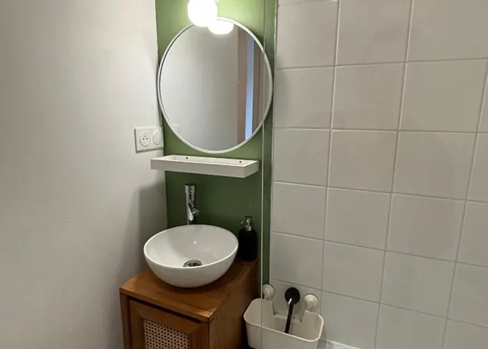 Nid Sur La Cascade Eaux-Bonnes